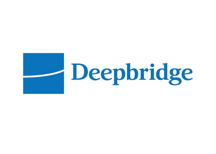 Deepbridge